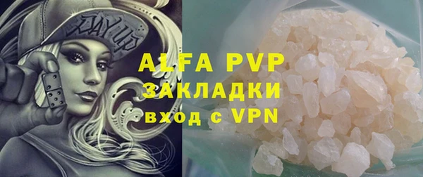 индика Кукмор