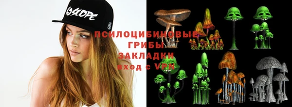 индика Кукмор
