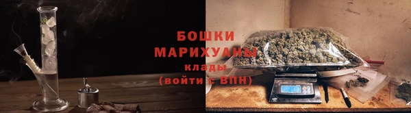 индика Кукмор