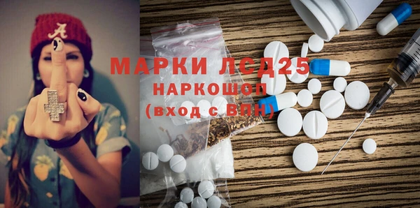 индика Кукмор