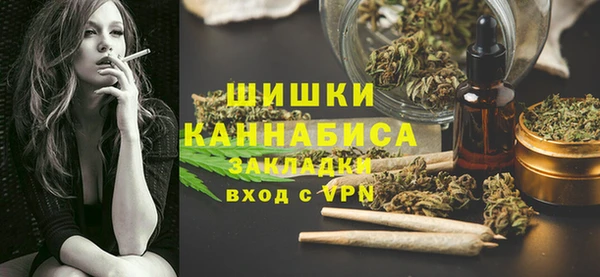 индика Кукмор