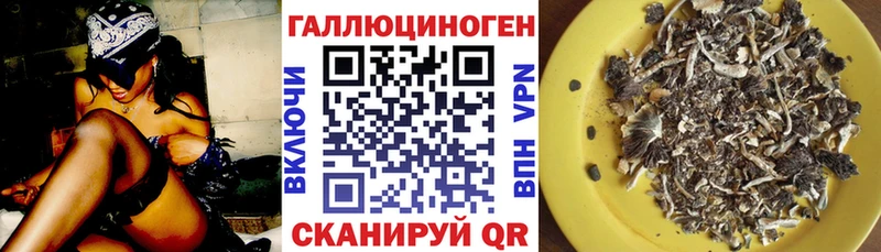 наркотики  Устюжна  Галлюциногенные грибы мицелий 